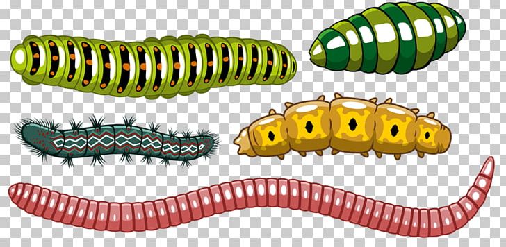 Worm Insect Caterpillar Euclidean PNG, Clipart, All Around The World, Animals, Around The World, Cartoon, Caterpillar Free PNG Download