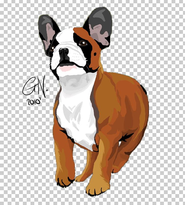Boxer Dog Breed Non-sporting Group Companion Dog Breed Group (dog) PNG, Clipart, Animal, Boxer, Breed, Breed Group Dog, Canidae Free PNG Download