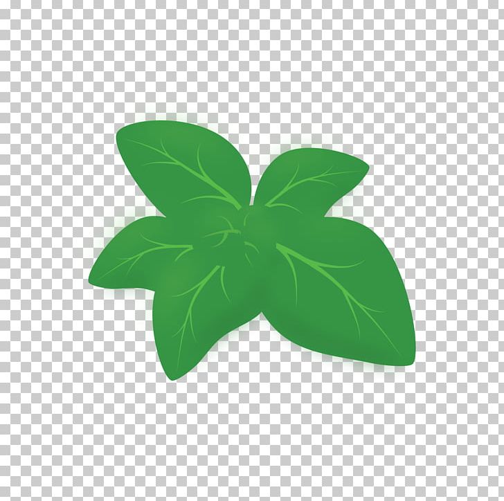 Green Leaf PNG, Clipart, Green, Leaf, Plant Free PNG Download