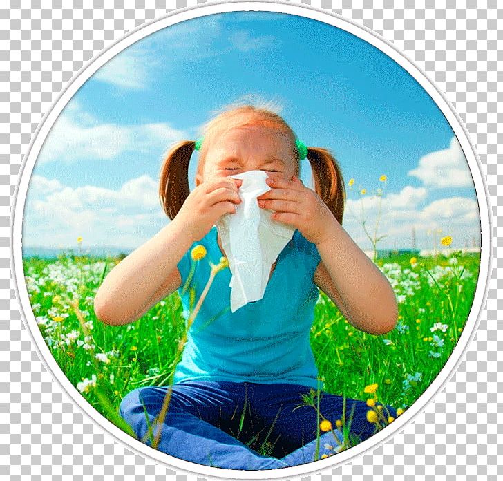 Hay Fever Allergy Rhinorrhea Symptom Asthma PNG, Clipart, Air Medical Services, Allergic Asthma, Allergy, Asthma, Child Free PNG Download