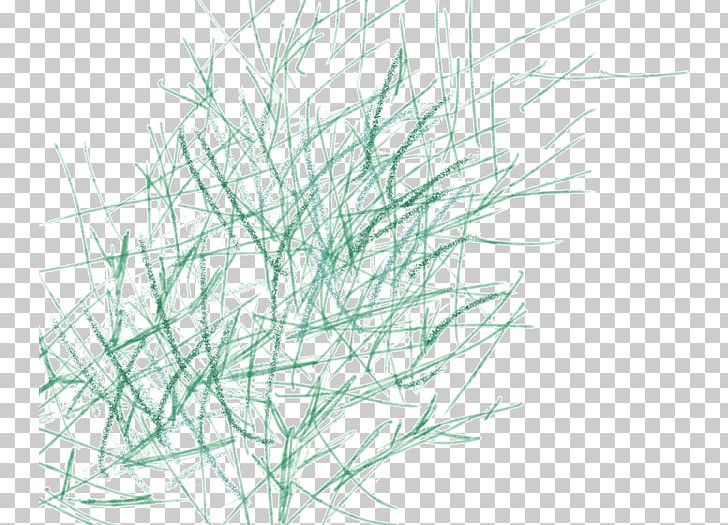 Leaf PNG, Clipart, Adobe Illustrator, Angle, Artificial Grass, Branch, Cartoon Grass Free PNG Download