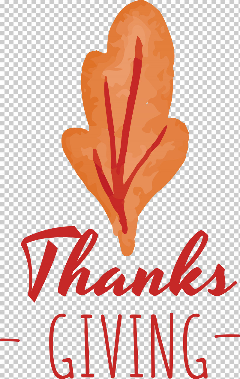 Thanks Giving Thanksgiving Harvest PNG, Clipart, Autumn, Flower, Harvest, Logo, Meter Free PNG Download