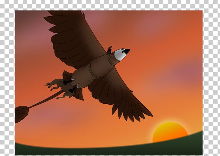 Eagle Fauna Beak Sky Plc PNG, Clipart, Animals, Beak, Bird, Bird Of Prey, Eagle Free PNG Download