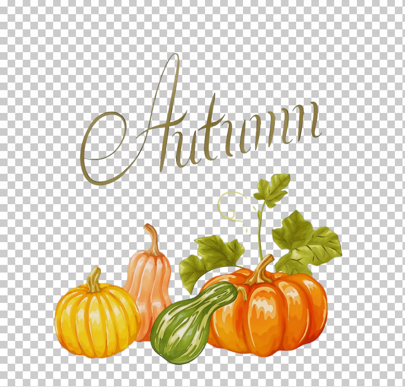 Pumpkin PNG, Clipart, Autumn, Calabaza, Cucurbita Maxima, Field Pumpkin, Fruit Free PNG Download