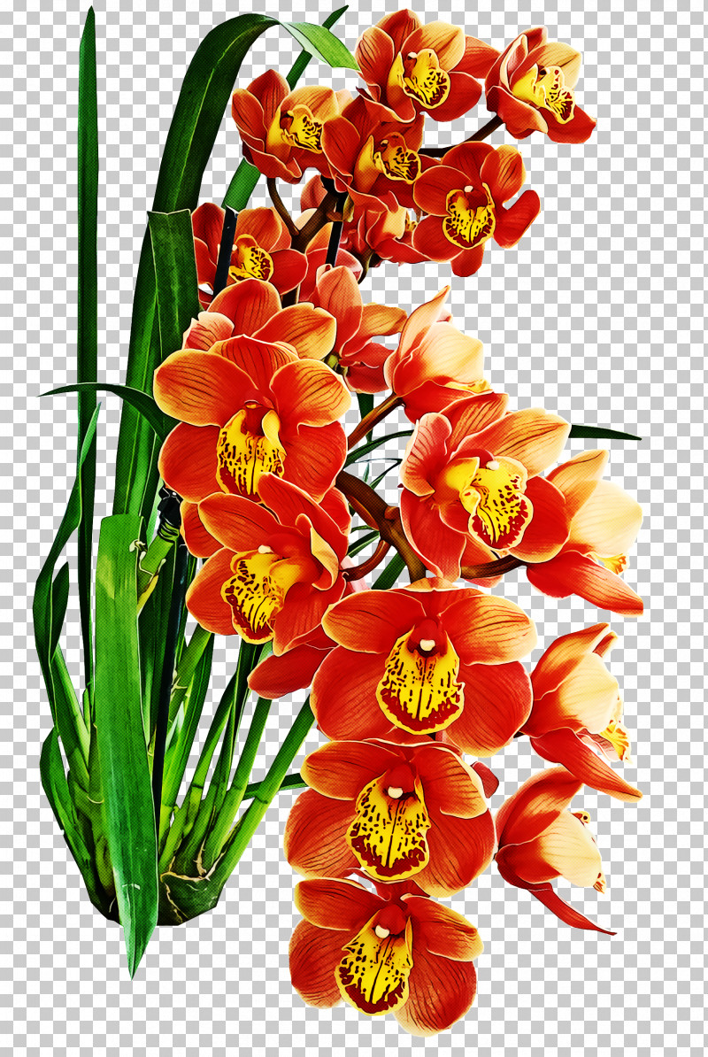 Floral Design PNG, Clipart, Aqua, Cut Flowers, Dendrobium, Floral Design, Floristry Free PNG Download