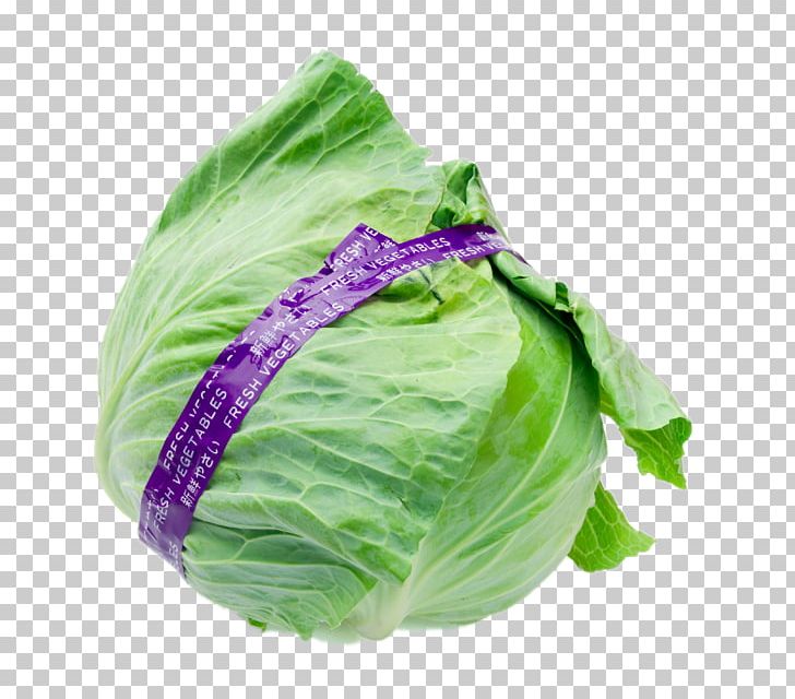 Cabbage Romaine Lettuce Vegetable Brussels Sprout PNG, Clipart, Boutique Logo, Brussels Sprout, Cabbage, Food, Imported Vegetables Free PNG Download