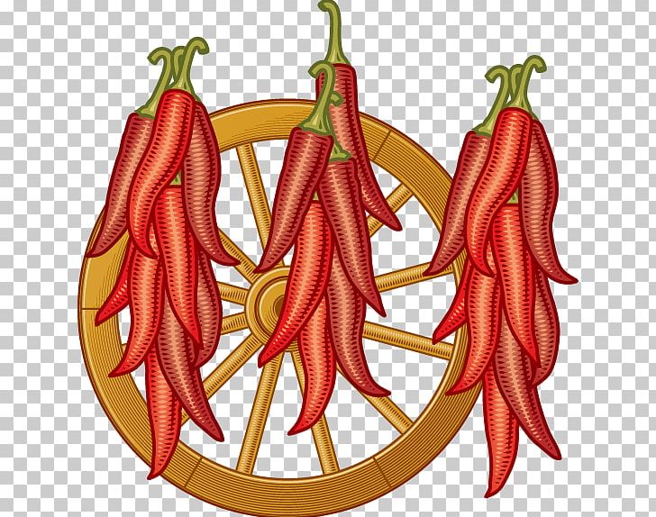 Birds Eye Chili Serrano Pepper Chile De Xe1rbol Tabasco Pepper Cayenne Pepper PNG, Clipart, Cayenne Pepper, Chili Pepper, Concise, Food, Fruit Free PNG Download
