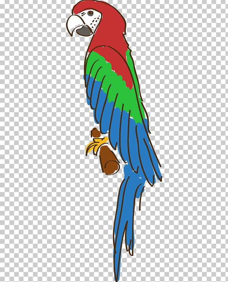 Amazon Parrot Drawing Cartoon PNG, Clipart, Animal, Animal, Animals, Bird, Cartoon Free PNG Download