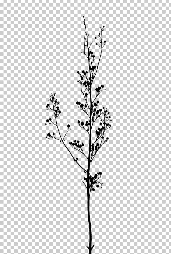Twig Branch A Buddhist Spectrum Tree PNG, Clipart, Black And White, Branch, Buddhist Spectrum, Computer Icons, Flora Free PNG Download