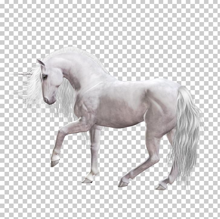 Unicorn Mustang Mane Foal Stallion PNG, Clipart, Animal Figure, Colt, Donkey, Fantasy, Femme Free PNG Download