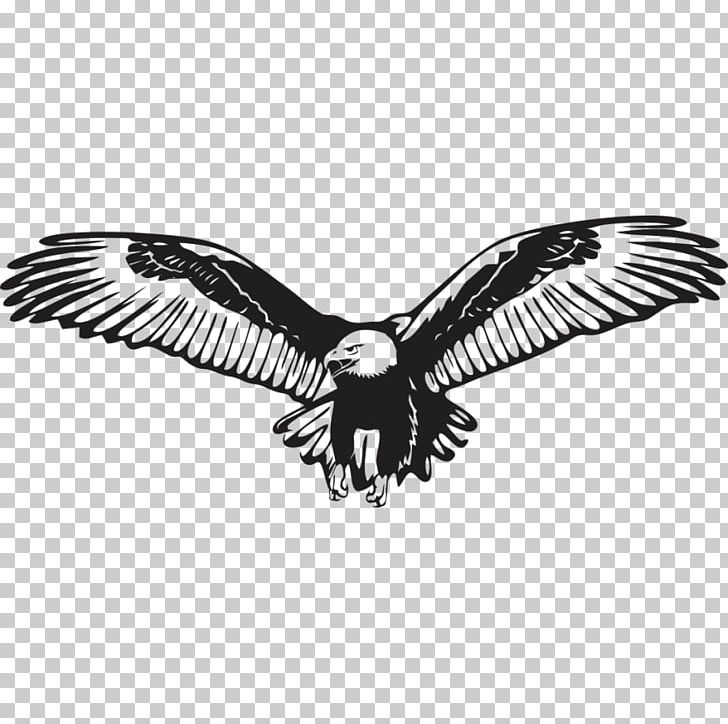 Bald Eagle Wall Decal Sticker PNG, Clipart, Accipitridae, Accipitriformes, Animals, Art, Bald Eagle Free PNG Download