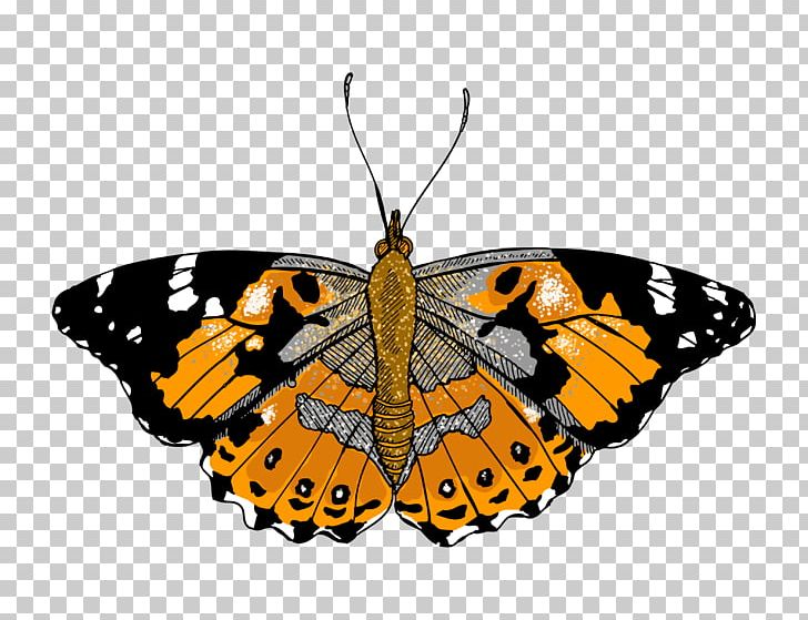 Butterfly Painting Illustration PNG, Clipart, Arthropod, Black Swallowtail, Brush Footed Butterfly, Butterfly, Drawing Free PNG Download