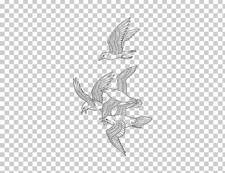 Drawing Bird Sketch PNG, Clipart, Animals, Art, Avatar, Bird, Bird Of Prey Free PNG Download