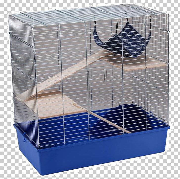 Ferret Cage Budgerigar Rodent Gerbil PNG, Clipart, 80 X, Animals, Birdcage, Budgerigar, Cage Free PNG Download
