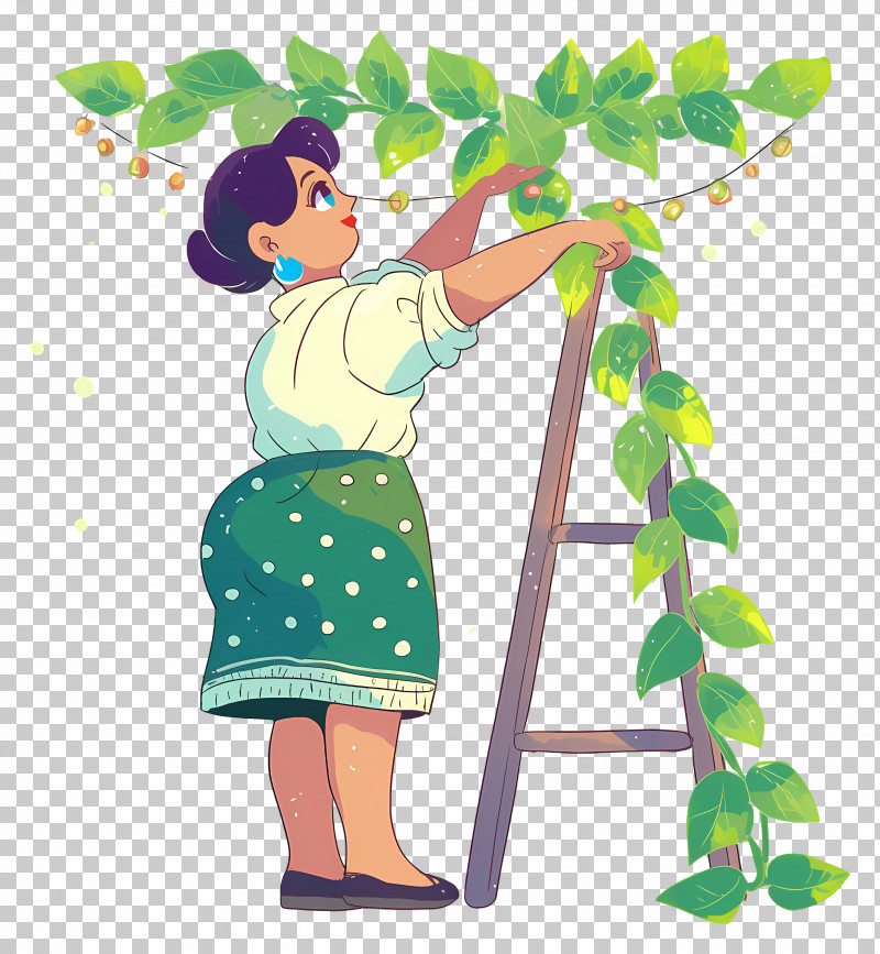 Woman Hanging Garlands - Woman Picking Leaves On Ladder PNG