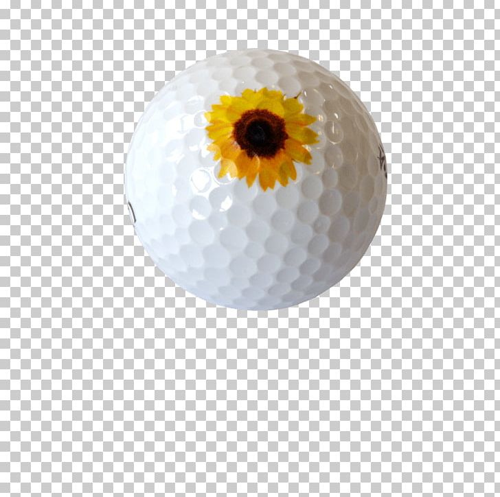 Golf Balls Printing PNG, Clipart, Ball, Daisy, Digital Printing, Flatbed Digital Printer, Flower Free PNG Download