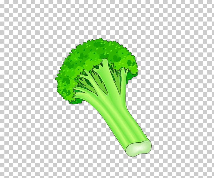 Broccoli Vegetable PNG, Clipart, Cabbage, Cartoon Cauliflower, Cauliflower Carrot Cucumber, Cauliflower Frozen, Cauliflower Smile Free PNG Download