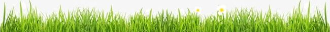 Grass PNG, Clipart, Bunch, Bunch Grass, Grass, Grass Clipart, Green Free PNG Download