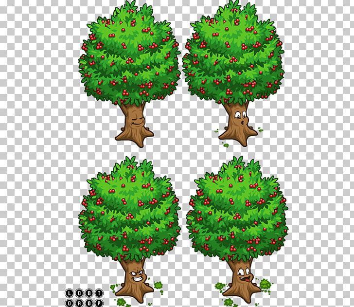 Pine Family Minigame Loading Screen Social-network Game Flowerpot PNG, Clipart, Artist, Biome, Branch, Conifer, Email Free PNG Download