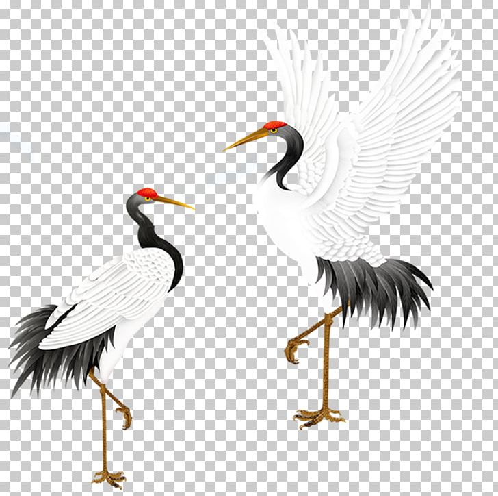 Red-crowned Crane Bird Grey Crowned Crane PNG, Clipart, Beak, Black White, Crane, Crane Like Bird, Encapsulated Postscript Free PNG Download