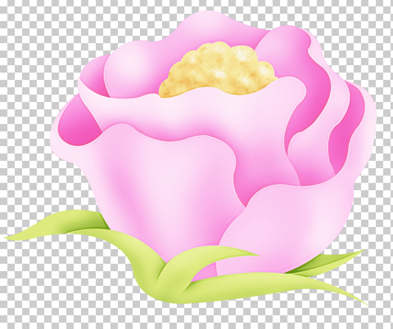 Pink Petal Plant Flower Cloud PNG, Clipart, Cloud, Flower, Petal, Pink, Plant Free PNG Download