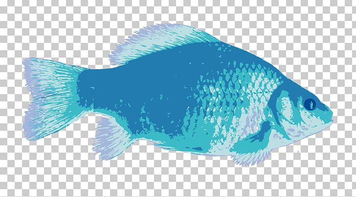 Coral Reef Fish Marine Biology Deep Sea Fish Saltwater Fish PNG, Clipart, Aqua, Biology, Blue, Coral, Coral Reef Free PNG Download