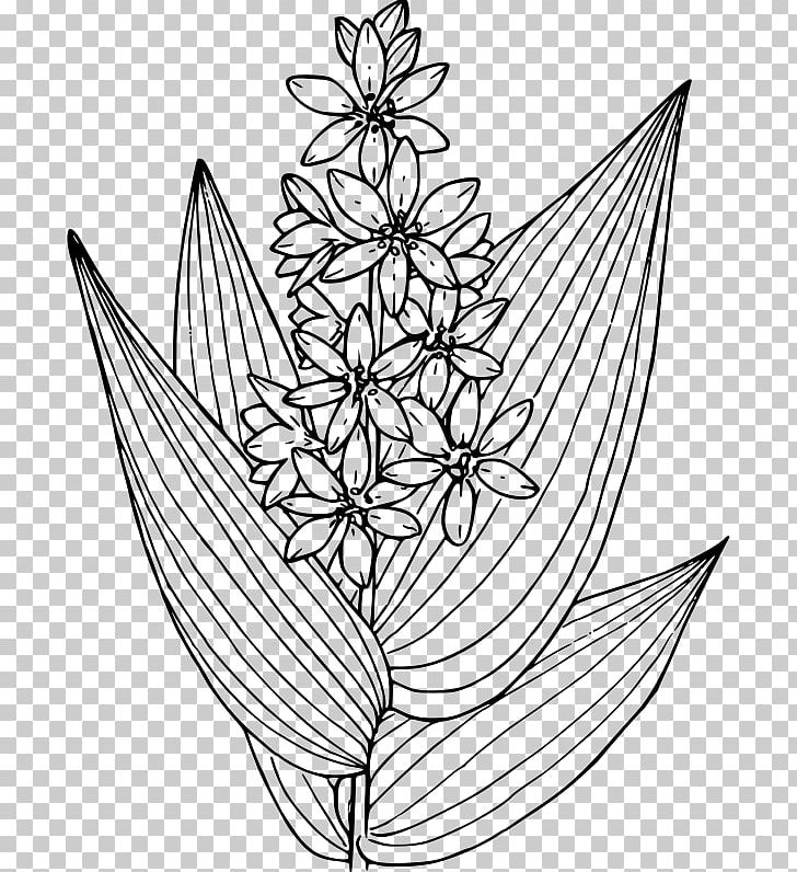 Garden PNG, Clipart, Area, Artwork, Black And White, Computer Icons, Drawing Free PNG Download