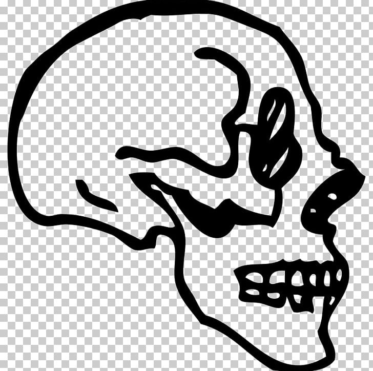 Skull Human Skeleton Drawing PNG, Clipart, Area, Artwork, Black, Black And White, Bone Free PNG Download