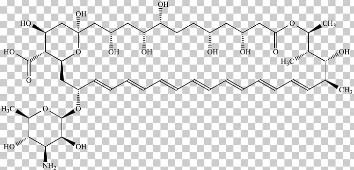 Amphotericin B Organic Chemistry Chemical Structure Organic Compound PNG, Clipart, Angle, Anticancer, Antifungal, Area, Black Free PNG Download