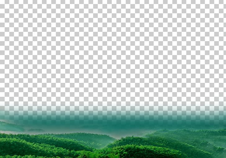 Green Sky Computer PNG, Clipart, Camellia, Computer, Computer Wallpaper, Dasan, Daytime Free PNG Download