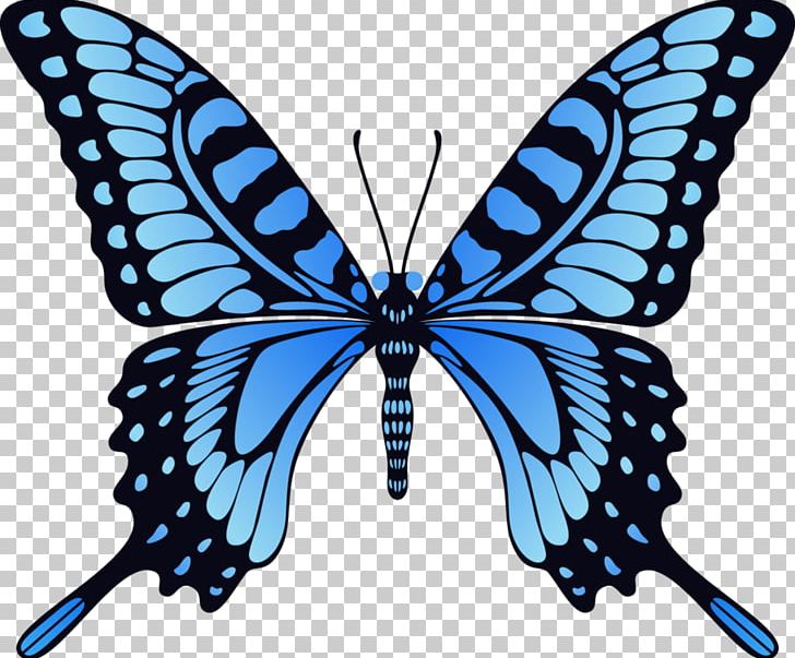 Monarch Butterfly Animation Stock Footage PNG, Clipart, Androidography, Arthropod, Backpacking, Blog, Brush Footed Butterfly Free PNG Download