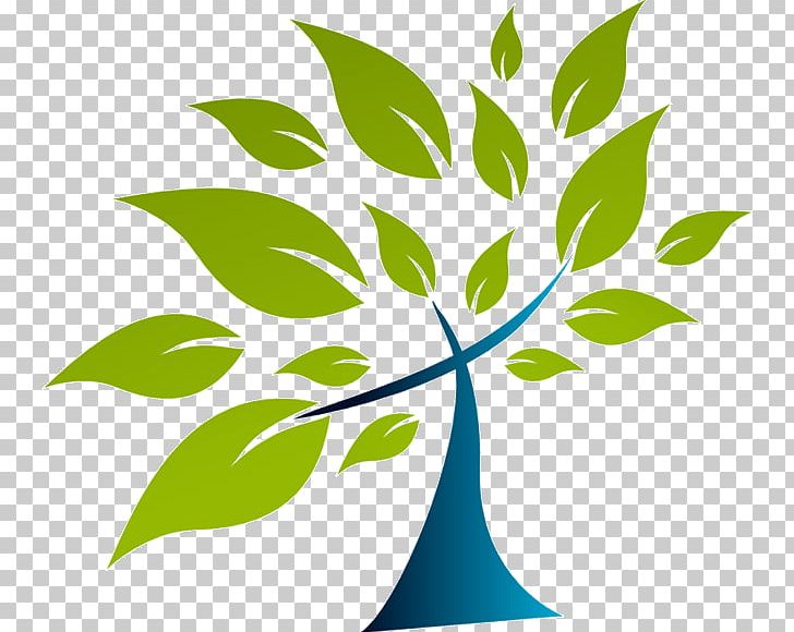 Bible Baptist Church Of Charlesbourg Baptists Tree Of Life PNG, Clipart, Baptist, Baptist Church Of Charlesbourg, Bible, Branch, Charlesbourg Quebec City Free PNG Download