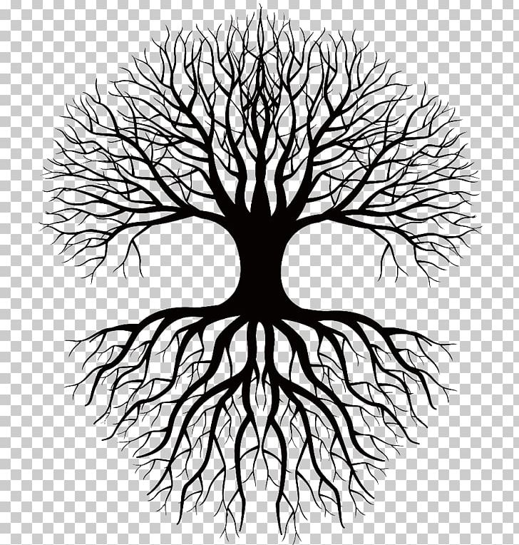 Coloring Book Drawing Root Tree PNG, Clipart, Artwork, Black And White, Branch, Celtic Sacred Trees, Circle Free PNG Download