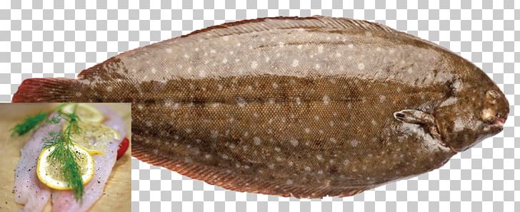 Fish Products Tilapia PNG, Clipart, Animals, Fish, Fish Products, Flatfish, Tilapia Free PNG Download