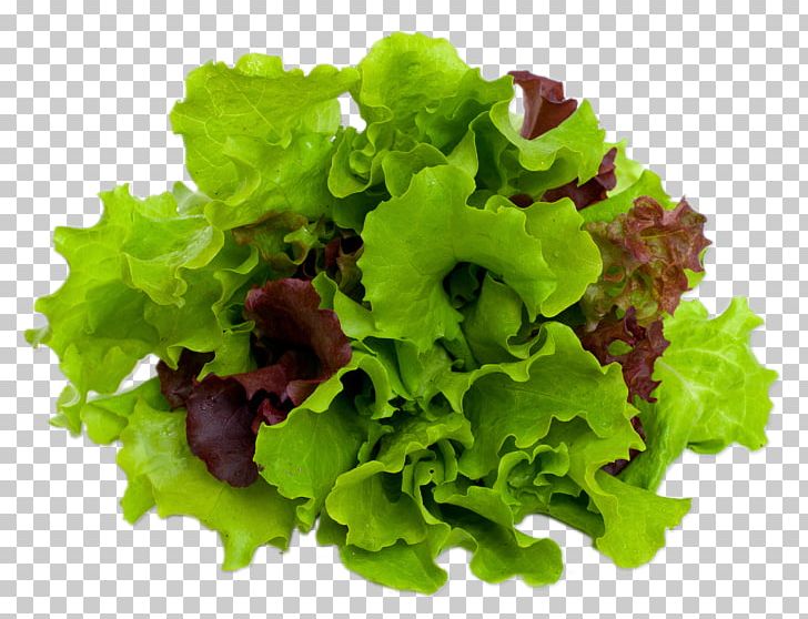 Mesclun Caesar Salad Lettuce Leaf Vegetable PNG, Clipart, Caesar Salad, Cooking, Endive, Food, Herb Free PNG Download