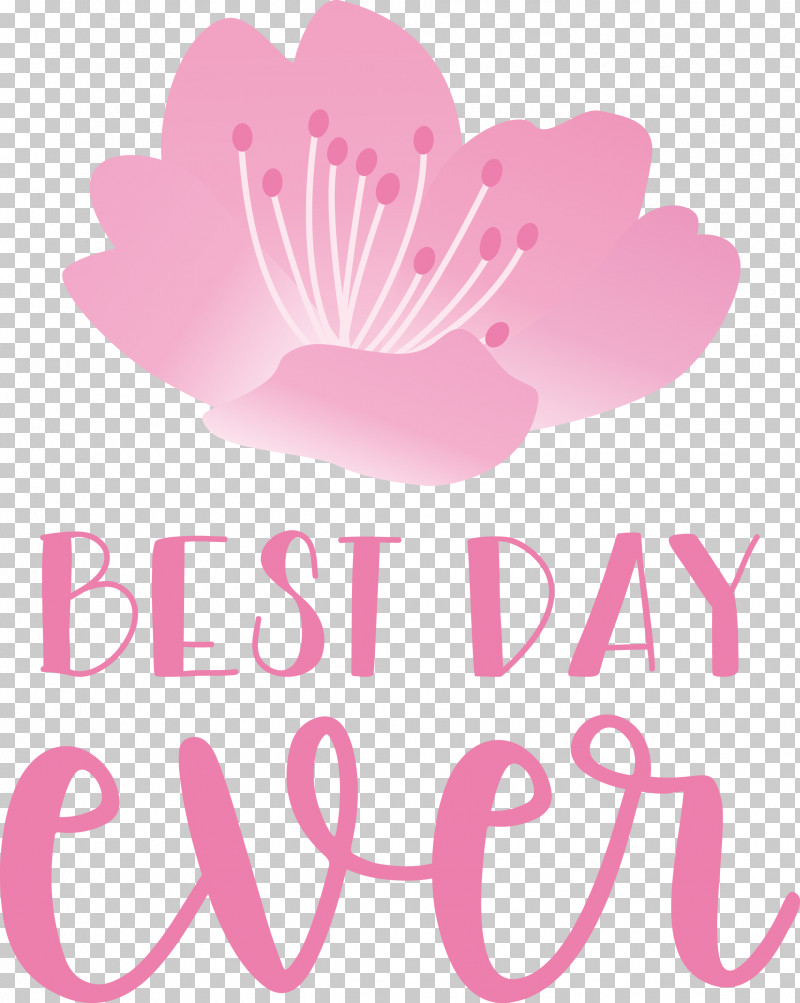 Best Day Ever Wedding PNG, Clipart, Best Day Ever, Biology, Cut Flowers, Floral Design, Flower Free PNG Download