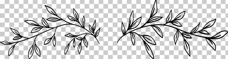 Black And White PNG, Clipart, Angle, Artwork, Branch, Download, Drawing Free PNG Download