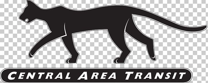 Cat Transperth Bus Perth Central Area Transit PNG, Clipart, Black, Black And White, Bus, Carnivoran, Cat Free PNG Download