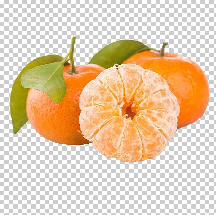 Tangerine Fruit Orange Sweetness PNG, Clipart, Beach Sand, Candies, Candy Border, Candy Cane, Citrus Free PNG Download