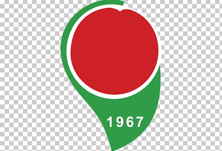 Amasyaspor Logo Amasya 12 Haziran Stadyumu Sports Association PNG, Clipart, Area, Association, Brand, Circle, Football Free PNG Download