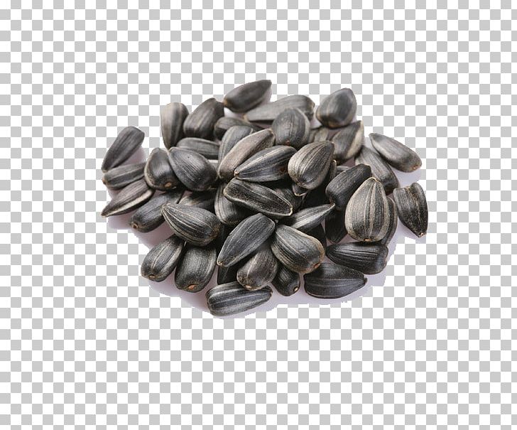 Common Sunflower Sunflower Seed Sunflower Oil Crop PNG, Clipart, Black, Common Sunflower, Eating, Food, Fruit Nut Free PNG Download