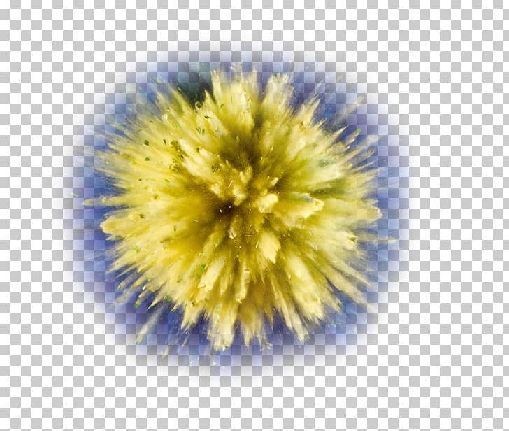 Explosion Powder Photography PNG, Clipart, Animation, Art, Color, Drawing, Dust Explosion Free PNG Download
