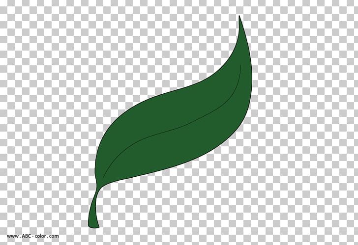 Leaf Plant Stem Font PNG, Clipart, Grass, Green, Leaf, Plant, Plant Stem Free PNG Download