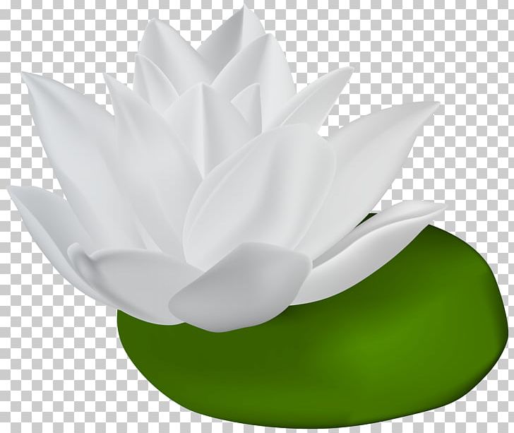 Water Lilies PNG, Clipart, Art White, Clipart, Clip Art, Computer Icons, Egyptian Lotus Free PNG Download