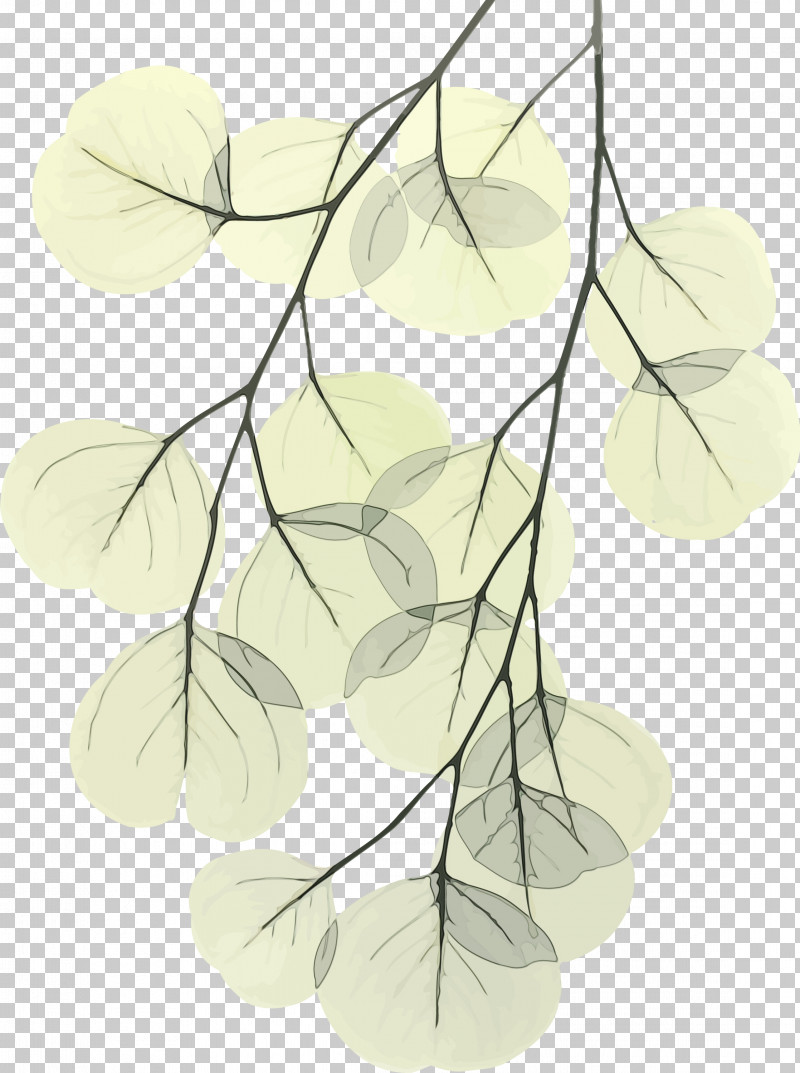 Leaf Branch Plant Line Tree PNG, Clipart, Bodhi, Bodhi Day, Bodhi Leaf, Branch, Leaf Free PNG Download