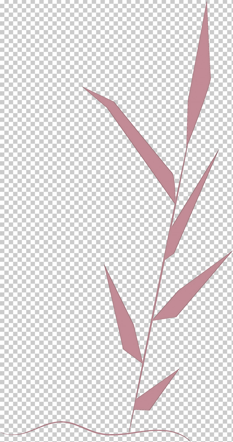 Leaf Plant Stem Root Petal Tree PNG, Clipart, Angle, Biology, Branch, Grasses, Green Free PNG Download