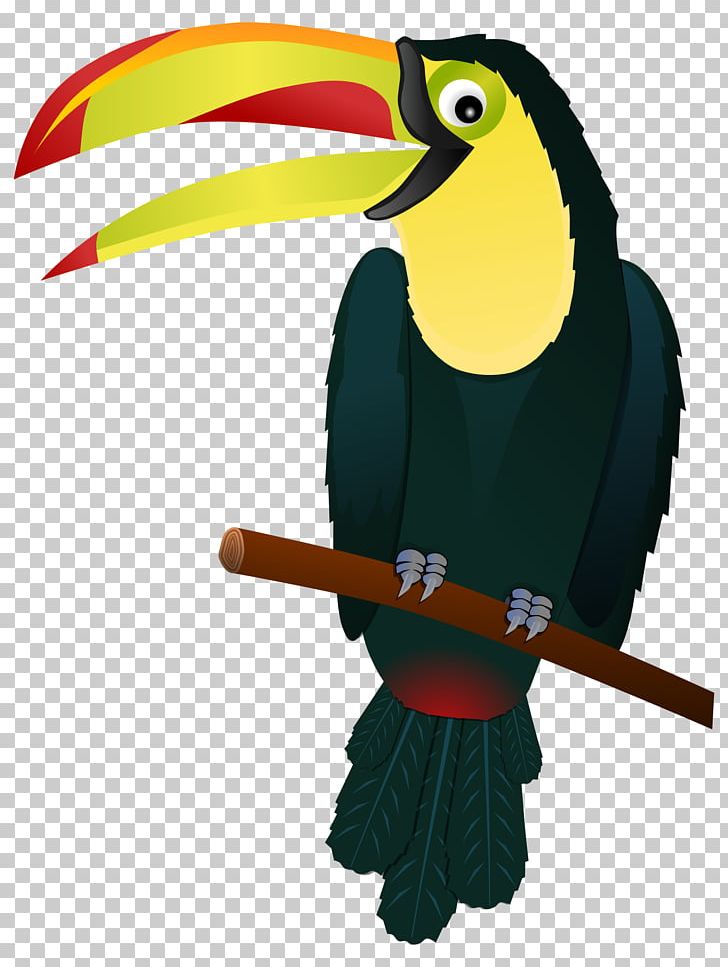 Bird Keel-billed Toucan PNG, Clipart, Beak, Bird, Clip Art, Cuteness, Document Free PNG Download
