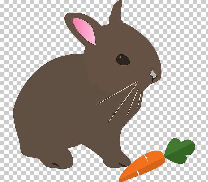 Hare Rabbit PNG, Clipart, Animals, Blog, Desktop Wallpaper, Domestic Rabbit, Download Free PNG Download