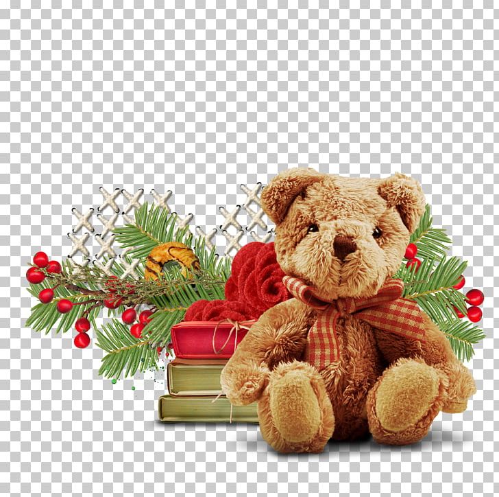 Photography Depositphotos .de PNG, Clipart, Bear, Bears, Bokeh, Book, Cut Flowers Free PNG Download