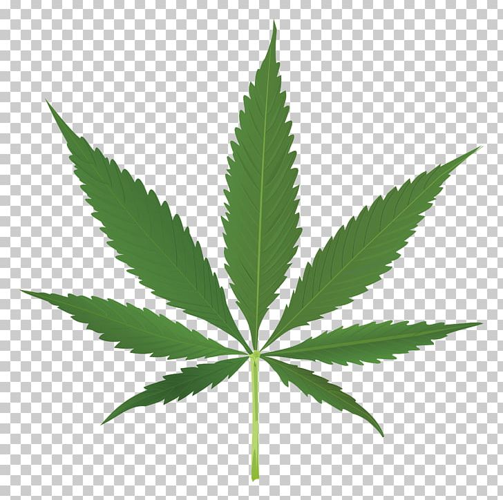 Cannabis Leaf Joint PNG, Clipart, 420 Day, Bong, Cannabis, Drug, Hemp Free PNG Download
